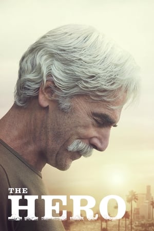The Hero (2017) Hindi Movie 480p HDRip - [300MB]